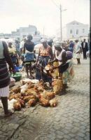 Hühnervolk auf dem Markt in Assomada