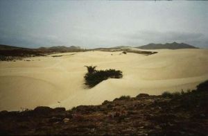 Die Sandwüste von Estancia de Bairo
