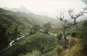 Das grüne Tal der Ribeira Seca