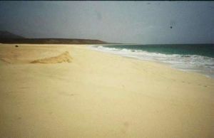 Strand von St. Monica Richtung Osten
